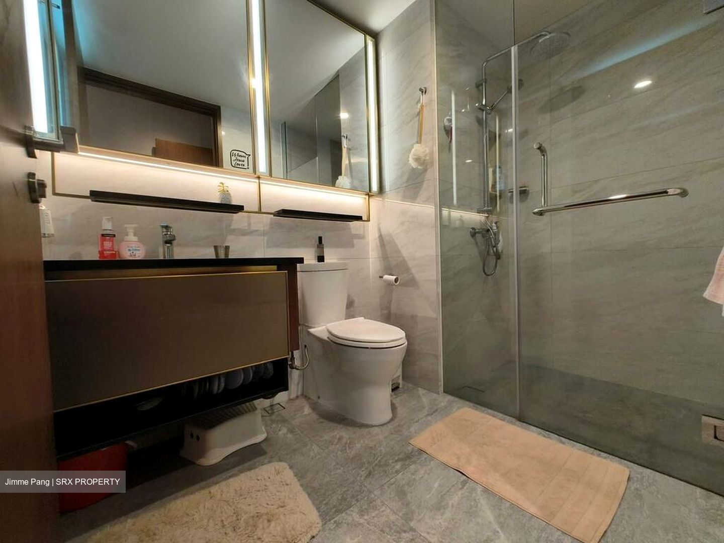 Normanton Park (D5), Apartment #526328581
